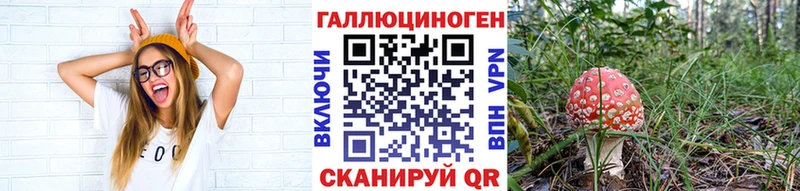 Галлюциногенные грибы Psilocybe  Купить закладки  Сыктывкар 